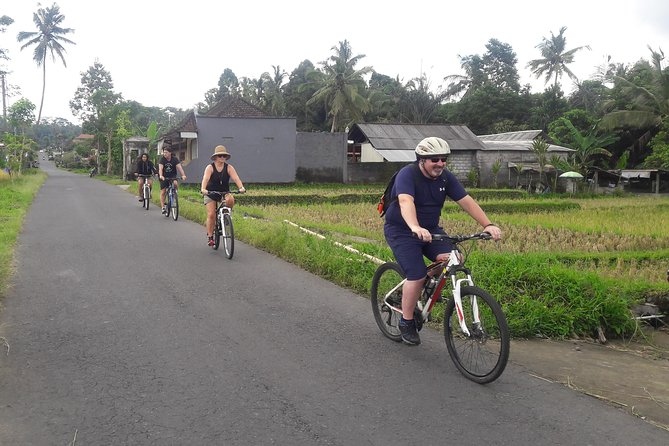 Bali Eco & Educational Cycling Tour - Family-Friendly Reality: Baby Seats, Safety Gear, and a Manageable Pace