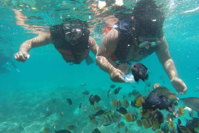 Bali: Fishing trip & Blue Lagoon Snorkeling with Lunch - Getting from Ubud to the water without the hassle