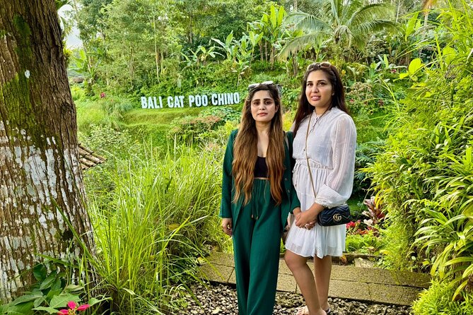 Bali Full Day Customized Private Tour - Ubud and the craft-and-temple side of the island (Ubud, Monkey Forest, Tegalalang, Celuk)