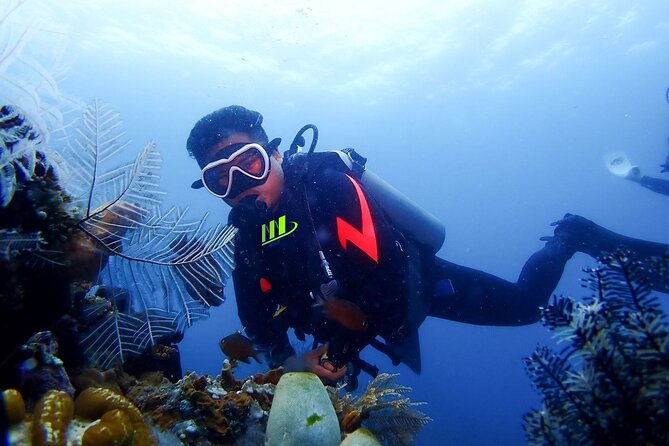 Bali Full Day Experience Scuba Diving Tour at Tulamben - Key Highlights at a Glance