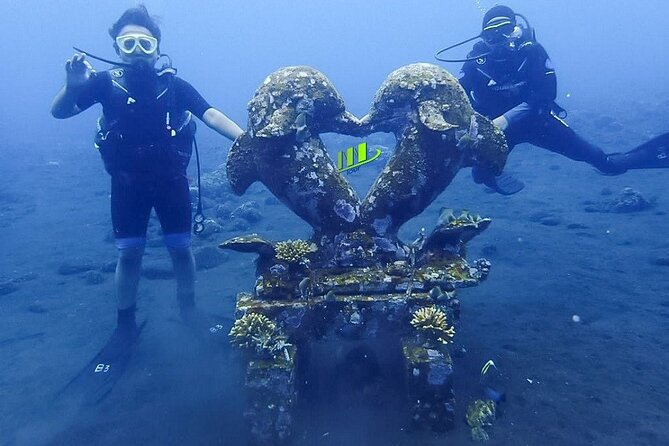 Bali Full Day Experience Scuba Diving Tour at Tulamben - Gear, Facilities, Insurance, and Porter Help