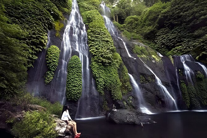Bali Full-Day Hidden Hills, Twin Waterfalls and Hot Spring Tour - Key Highlights You’ll Actually Feel