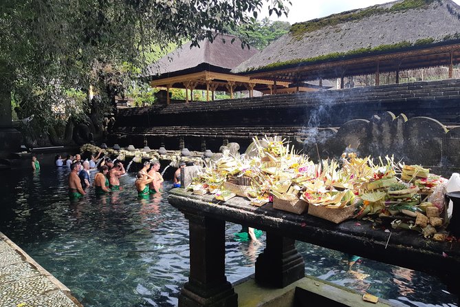 Bali Full Day Holy Water Tour - A Full-Day Holy Water Circuit: What Makes It Special