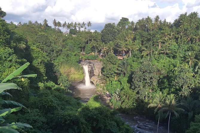 Bali Full Day Holy Water Tour - Tegalalang Rice Terrace and the Optional Swing Add-On