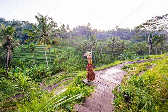 Bali Full-Day Sightseeing Trip with Lunch - Key Points Worth Knowing