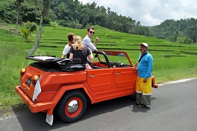 Bali Full-Day The Gate of Heaven Tour by VW Safari Classic Car - Price and value for a private full-day tour from Seminyak