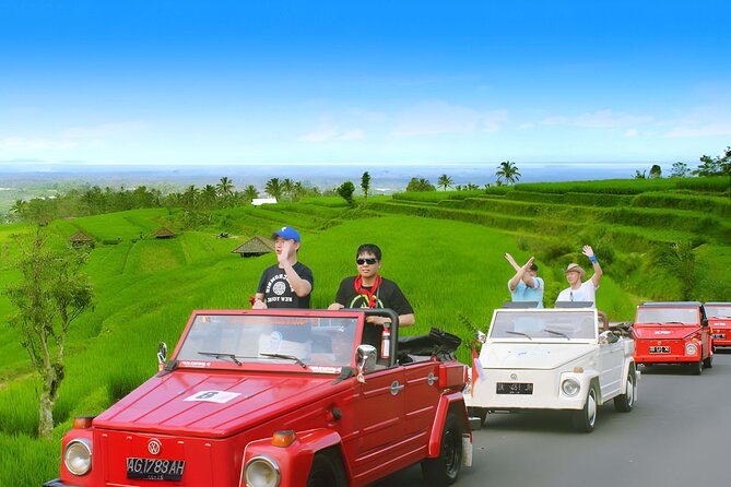 Bali Full-Day The Gate of Heaven Tour by VW Safari Classic Car - Who should book this VW Safari Gate of Heaven tour