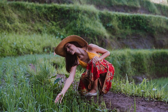 Bali Full Day Tour: Highlights of Ubud and Hidden Waterfall - Sacred Monkey Forest Sanctuary: seeing the macaques without the chaos