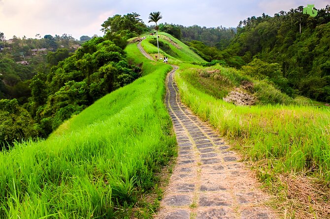 Bali Full Day-Tour: Ubud Sightseeing Trip - How the private setup changes your day