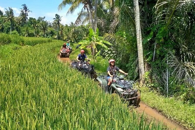 Bali Full-Day Tours : Waterfall and Ubud Destination Trip - Sacred Monkey Forest Sanctuary: expect the macoques (and respect them)