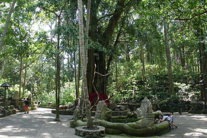 Bali Full-Day Traditional Village Sightseeing Trip All Inclusive - Tegalalang Rice Terrace: Scenic Views and Optional Thrills
