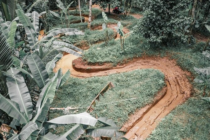 Bali: Gorilla Face ATV Bali Ubud Adventure with Lunch - Price and value: what $40 really buys you