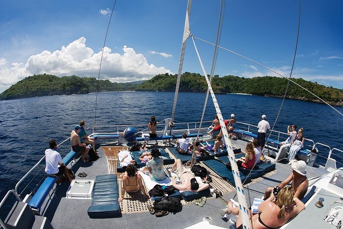 Bali Hai - Aristocat Sailing Cruise - Beach club facilities: pool and SUP boards for when you want a break