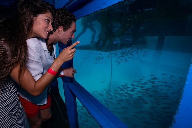 Bali Hai - Reef Cruise - Seeing coral without gearing up: the semi-submersible chamber