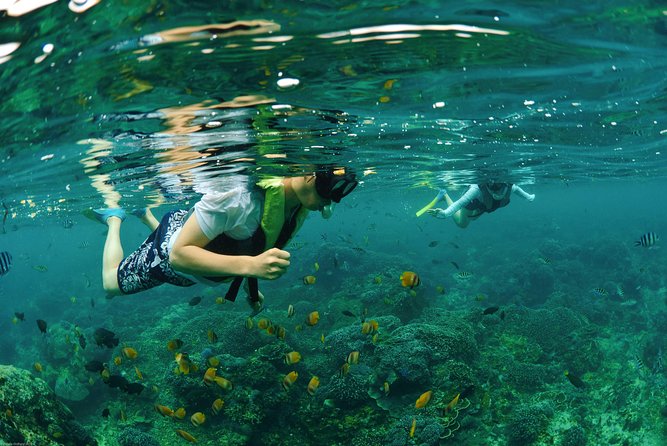 Bali Hai - Reef Cruise - Optional add-ons: parasailing, Aquanauts, and scuba-led experiences
