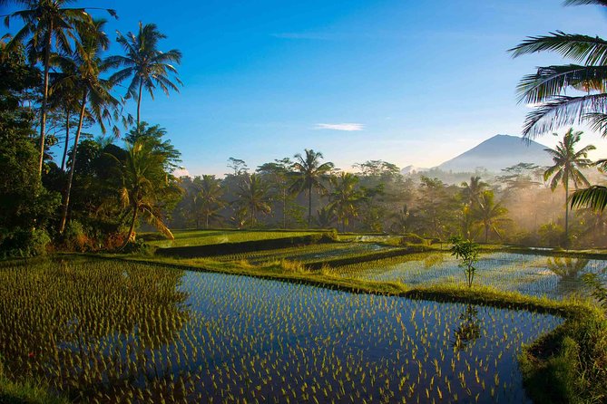 Bali Half Day Photography Tour - Small group of four: the coaching you actually notice