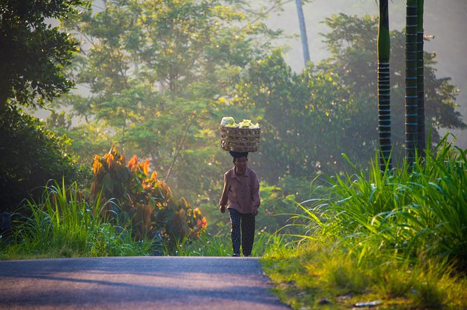 Bali Half Day Photography Tour - Traditional market portraits: real faces, real stories