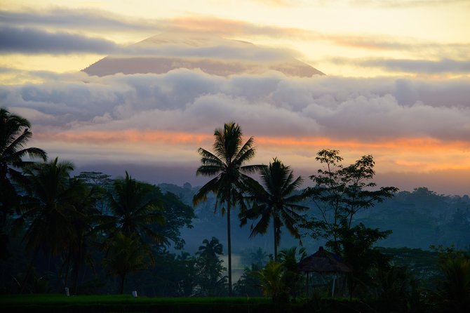 Bali Half Day Photography Tour - Price and value: what $164.11 buys you (and what it doesn’t)