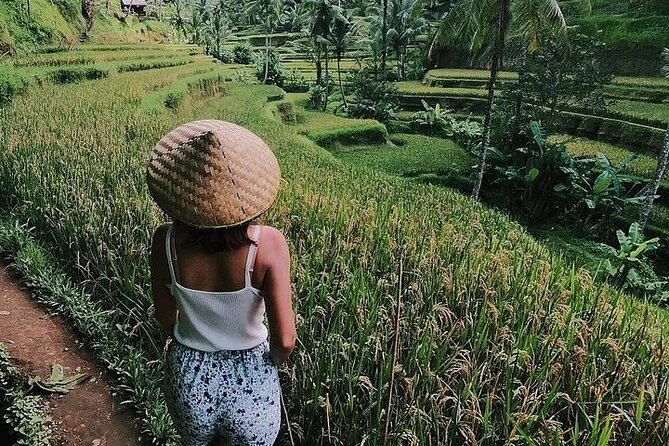 Bali Half Day Trip : All-Inclusive and Private Guided Tour - Tegalalang Rice Terrace: the viewpoint stop you’ll remember