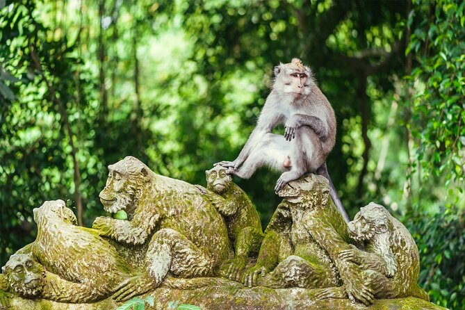Bali Half Day Trip : All-Inclusive and Private Guided Tour - What’s actually included in the $49 price