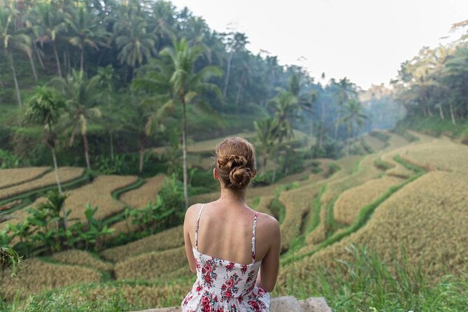 Bali Half Day Trip : All-Inclusive and Private Guided Tour - The real time math of a half-day tour