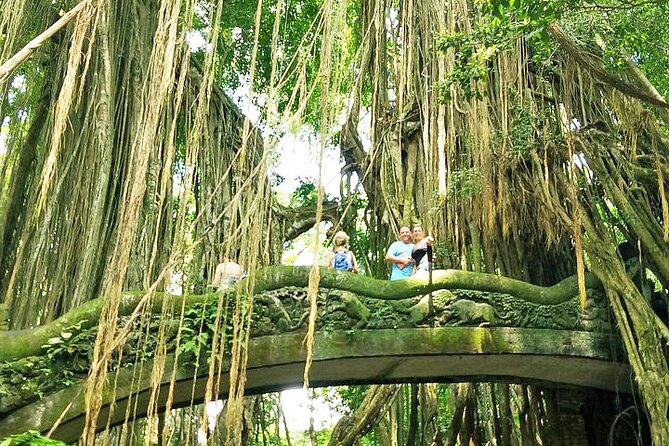 Bali Holy Bathing Ritual and Ubud Highlights tour - The Tegalalang rice terraces stop: photos plus a real walk
