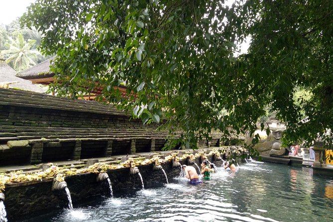 Bali Holy Bathing Ritual and Ubud Highlights tour - Monkey Forest in Ubud: a small rainforest walk with 700+ long-tailed monkeys