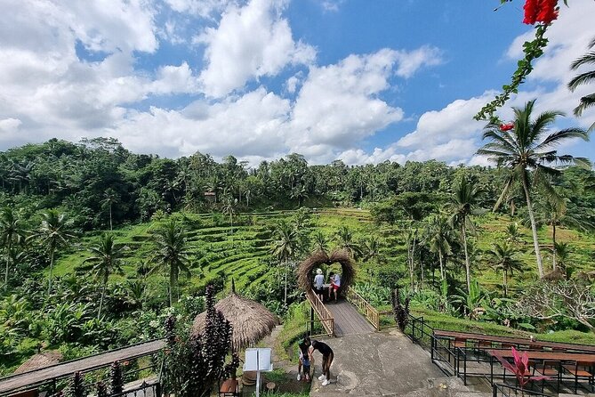 Bali Holy Bathing Ritual and Ubud Highlights tour - Transport and guide quality: punctual, flexible, and helpful with pacing