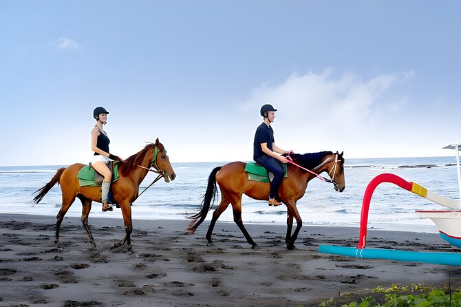 Bali Horse Riding and ATV Ride Packages : Best Quad Bike Trip - Price and Value for a $125 Private Adventure