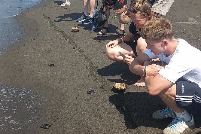 Bali Horse Riding and Turtle Release at Saba Beach - Who should book (and who should think twice)
