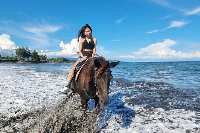 Bali Horse Riding and Turtle Release at Saba Beach - Practical tips to make the day smoother