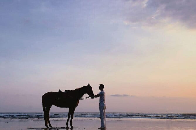 Bali Horse Riding Sanur Beach include Transport - Who This Bali Horse Riding Experience Fits Best