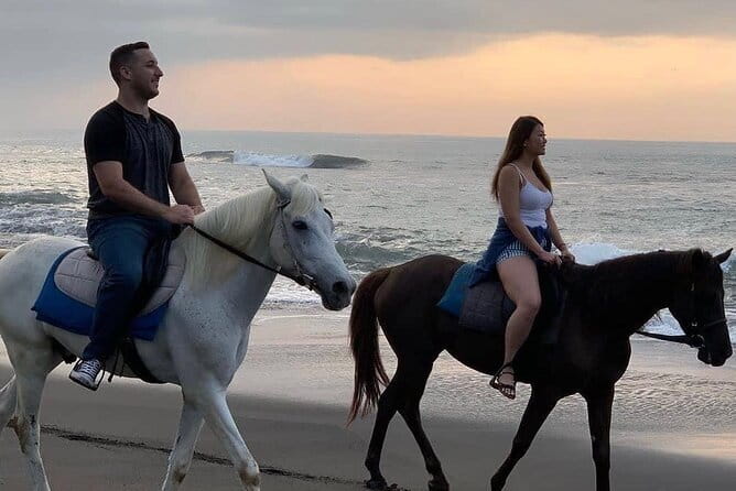 Bali Horse Riding Seminyak Beach Experience Private Transport - Key things worth knowing before you go