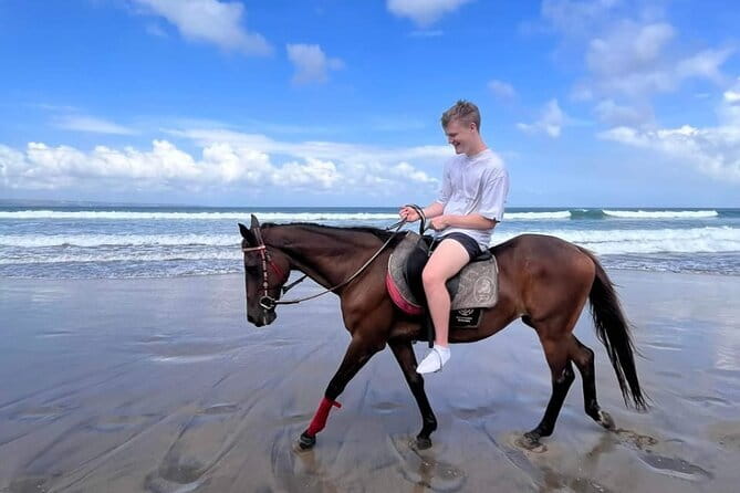 Bali Horse Riding Seminyak Beach Experience Private Transport - Who this Bali beach ride is best for