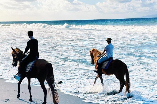 Bali Horse Riding Trot & Canter Saba Beach with Local Temple - Saba Beach Black Sand: the scenery you’re booking