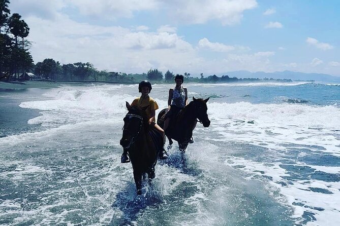 Bali Horse Riding Trot & Canter Saba Beach with Local Temple - The 1-Hour Flow: pickup to the shoreline and back