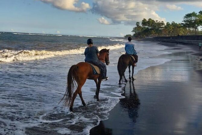 Bali Horse Riding Trot & Canter Saba Beach with Local Temple - Guides Like Ali and the Photo-Friendly Setup