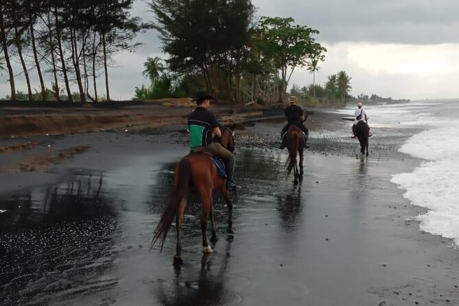 Bali Horse Riding Trot & Canter Saba Beach with Local Temple - Price and Value: is $39 reasonable for Bali horseback?