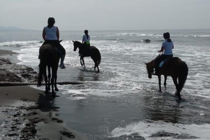Bali Horse Riding Trot & Canter Saba Beach with Local Temple - Weather and the 90kg Limit: the two real constraints
