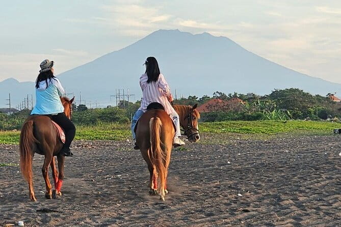 Bali Horse Riding, Waterfall, Rice Terrace, Lunch - All Inclusive - Saba Bay horse riding: coastal views plus real safety talk