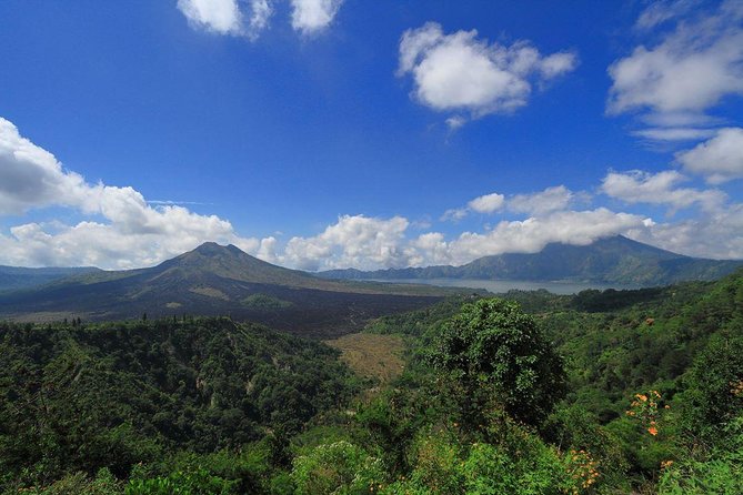 Bali Iconic Tour with Buffet Lunch and Attraction Tickets - Sacred Monkey Forest Sanctuary: Macaques in the Heart of Ubud