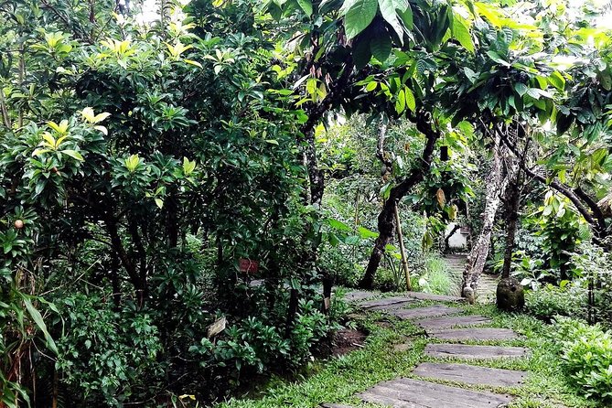 Bali in 1-Day : Rice Terrace, Volcano, Tanah lot - All Inclusive - Key Things That Make This Tour Worth Considering