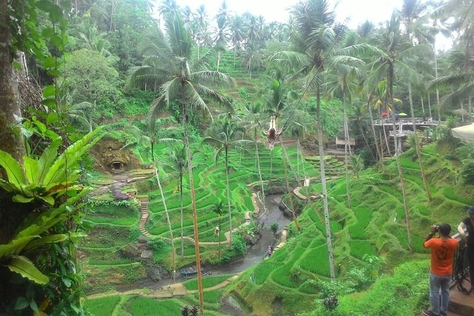 Bali in 1-Day : Rice Terrace, Volcano, Tanah lot - All Inclusive - Price, Value, and the Trade-Offs of a 1-Day Hit List