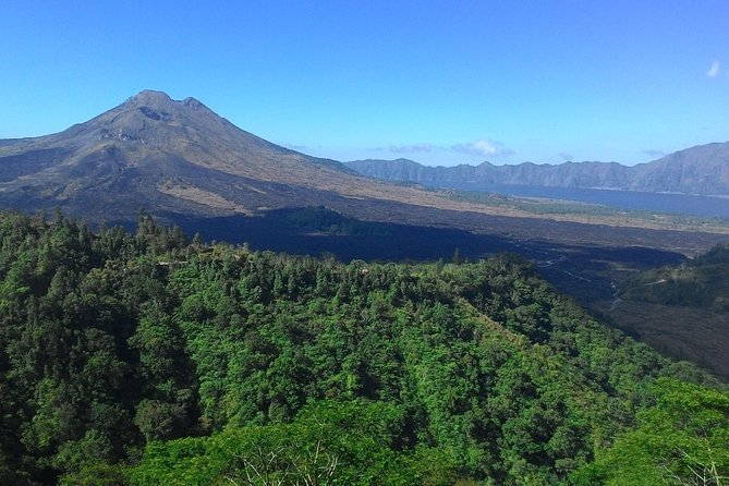 Bali in 1-Day : Rice Terrace, Volcano, Tanah lot - All Inclusive - Celuk Village and Other Artisan Stops You Can Skip or Slow Down