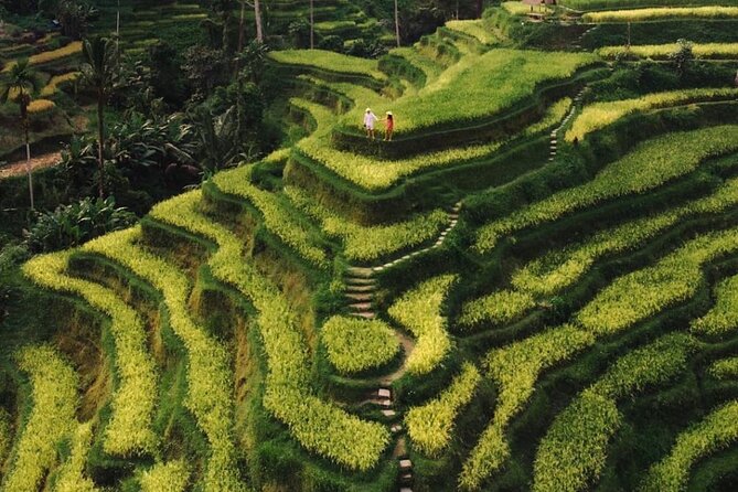 Bali Instagram Tour - All Inclusive - Price and value: why $38 can work for a full private day