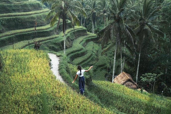Bali Instagram Tour from Your Hotel (Private & Full-day) - Rice Terraces, Balinese Crafts, and Ubud-Style Photo Stops