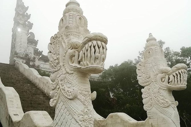Bali Instagram Tour from Your Hotel (Private & Full-day) - North Bali Views: Ulun Danu Bratan, Handara Gate, Wanagiri Swings, Jatiluwih