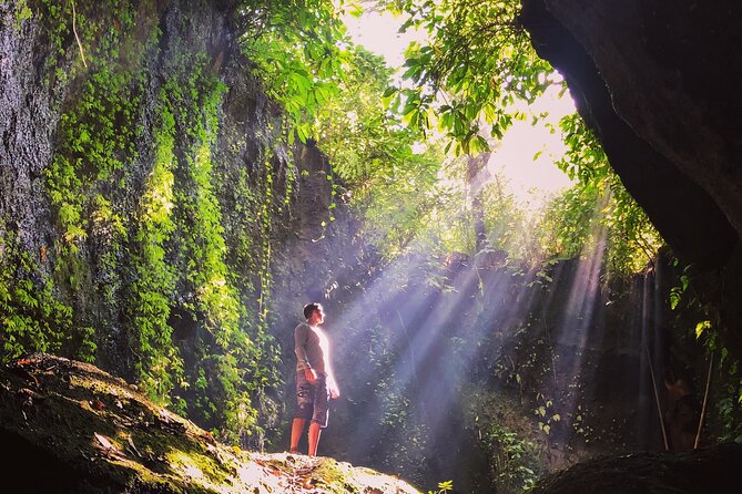 Bali Instagram Tour: Gate of Heaven, Swing and Waterfall Day Tour - Coffee Tasting Deep in the Jungle