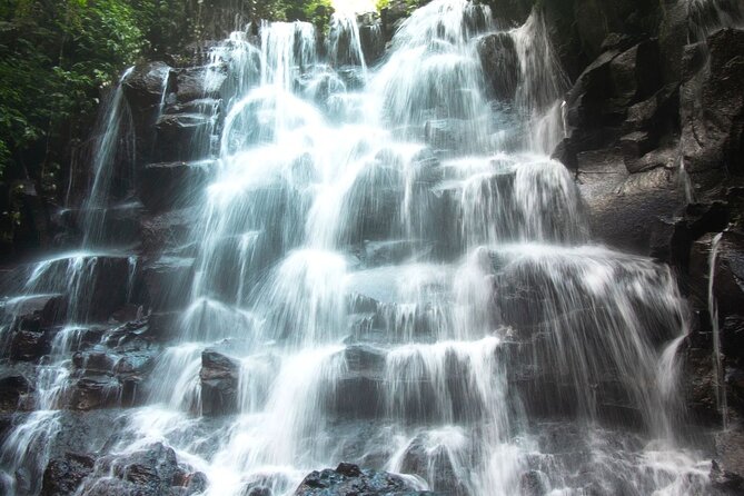 Bali Instagram Tour- Most Scenic Spots in Bali - Tunas Bali Luwak coffee stop: a break that also teaches