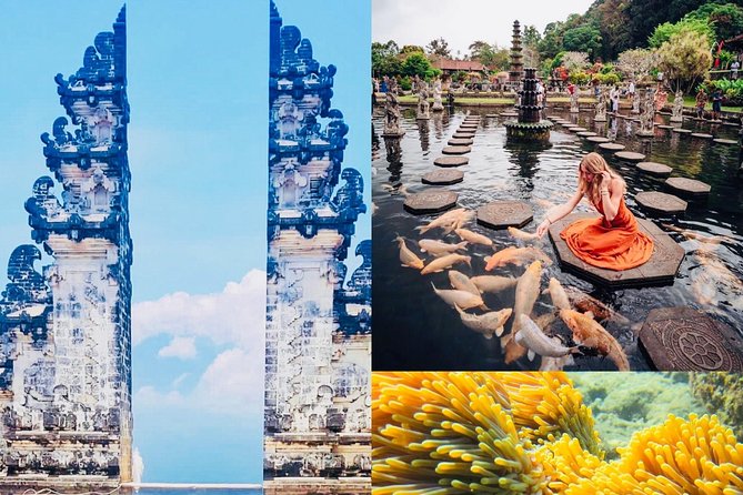 Bali Instagram Tour: The Most Popular Spots ( Private All-Inclusive ) - Private Bali driving: the stress you skip